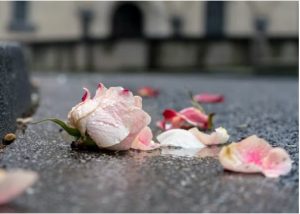 Formas de experimentar el Duelo Espacio calma rosa