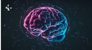 Qué ocurre en el cerebro cuando descubres una infidelidad espacio calma cerebro
