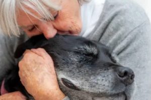 Duelo por una Mascota: Cómo Afrontar la Pérdida y Superar el Dolor espacio calma mujer abrazando perro