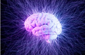 como se hace el diagnóstico de tdah cerebro